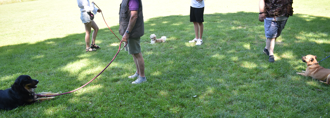 Erziehungs Kurs auf dem Hundeplatz