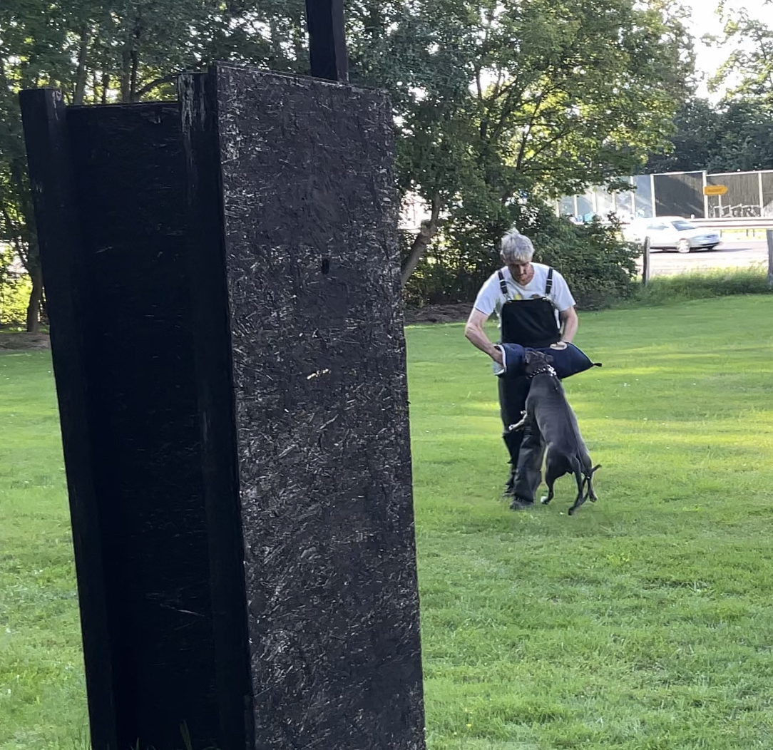 Hund im Schutzdienst