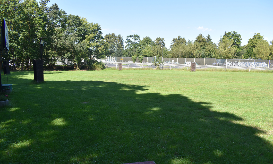 Große Rasenfläche des Hundeplatzes